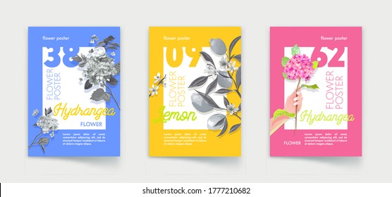 Juego de afiches con frutas de limón y flores de hidrangea con hojas en ramas. Florist Shop, marca de la Compañía de Producción Natural Orgánica. De vuelta al concepto de la naturaleza, el diseño de pancartas. Ilustración vectorial