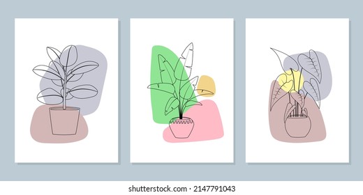 Set of posters with plants in flowerpot. Line art hand drawn houseplants with colored abstract shapes. Modern minimalism.