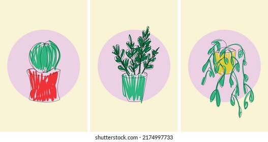 Afiches con plantas y círculos morados. Vector aislado de líneas de flowpots con fondo colorido. El minimalismo moderno.