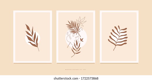 Set of posters with various exotic palm leaves for home decor, greeting card designs, invitation. Botanical vector illustration on light background. Minimalistic floral image for environmental design.