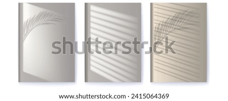 Set of posters. Window and palm leaf shadows on wall midday. Background for product display.