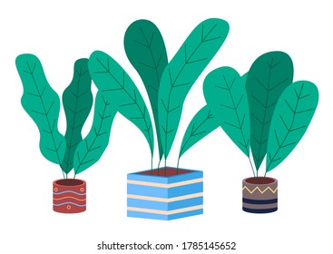 Set of pot with houseplant isolated at white. Vector flowerpot of decorative green plant with long leaves in ceramic pot. Indoor plant concept of domestic greenery. Icon for home interior plant