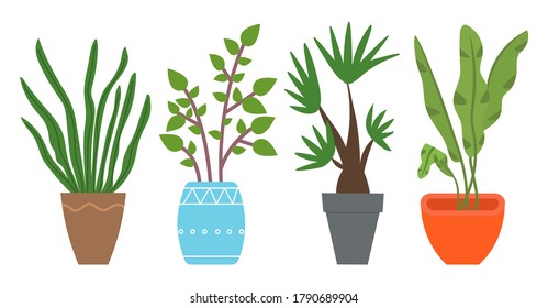 Set of pot with houseplant isolated at white. Vector flowerpot of decorative green plant with long leaves in ceramic pot. Indoor plant concept of domestic greenery. Icon for home interior plant