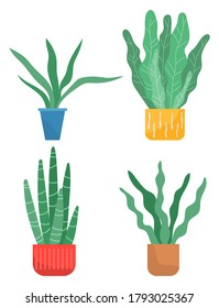 Set of pot with houseplant isolated at white. Vector flowerpot of decorative green plant with long leaves in ceramic pot. Indoor plant concept of domestic greenery. Icon for home interior plant