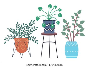 Set of pot with houseplant isolated at white. Vector flowerpot of decorative green plant with long leaves in ceramic pot. Indoor plant concept of domestic greenery. Icon for home interior plant