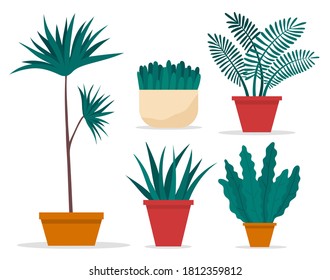 Set of pot with houseplant isolated at white. Vector flowerpot of decorative green plant with long leaves in ceramic pot. Indoor plant concept of domestic greenery. Icon for home interior plant