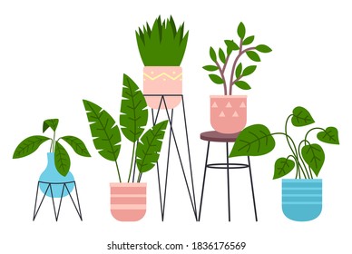 Set of pot with houseplant isolated at white. Vector flowerpot of decorative green plant with long leaves in ceramic pot. Indoor plant concept of domestic greenery. Icon for home interior plant