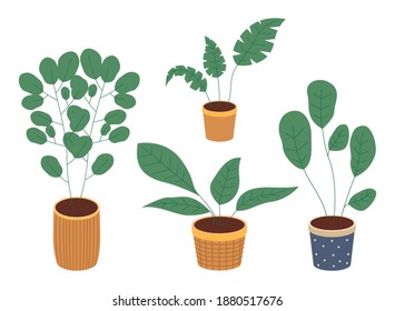 Set of pot with houseplant isolated at white. Vector flowerpot of decorative green plant with long leaves in ceramic pot. Indoor plant concept of domestic greenery. Icon for home interior plant