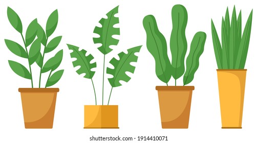 Set of pot with houseplant isolated at white. Vector flowerpot of decorative green plant with long leaves in ceramic pot. Indoor plant concept of domestic greenery. Icon for home interior plant