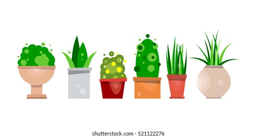 Set of pot plants for interior decoration. Vector illustration isolated on white background.