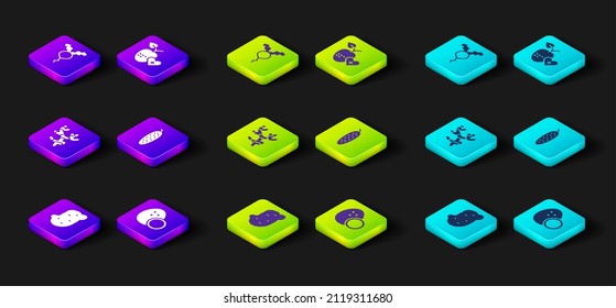 Set Potato, Coconut, Ginger root, Cucumber, Healthy fruit and Radish icon. Vector