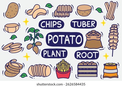 set of potato doodle with color good for background, wallpaper, icon, element design, etc