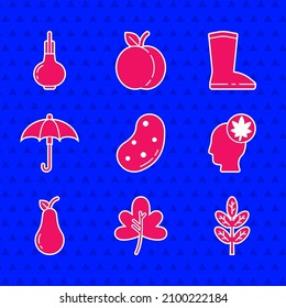 Set Potato, Leaf or leaves, Human head with leaf, Pear, Umbrella, Waterproof rubber boot and Onion icon. Vector