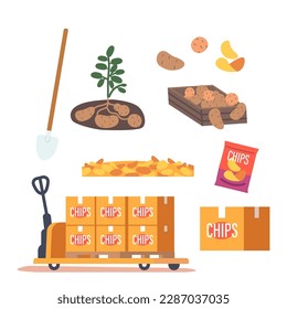Set Of Potato Products, Ripe Freshly Harvested Vegetable In Soil And Box, Chips Package, Shovel And Snack Boxes