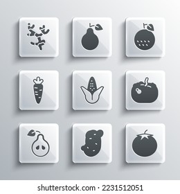 Set Potato, Tomato, Pumpkin, Corn, Pear, Carrot, Ginger root and Orange fruit icon. Vector