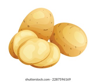 Set of potato whole, half and cut slice illustration isolated on white background