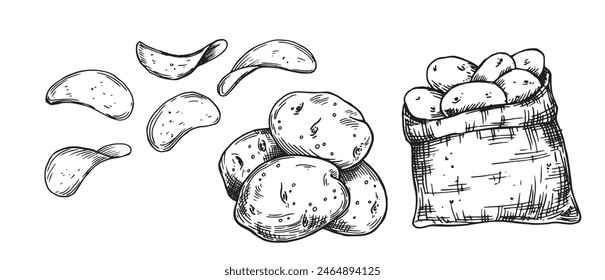 set of potatoes, potatoes in a bag, chips. vector drawing in sketch style, vintage