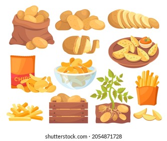 Set of potatoes products icons. French fries, country potatoes, different cooking methods. Delicious meals, fast food. Chips, pancakes. Realistic vector illustration isolated on white background