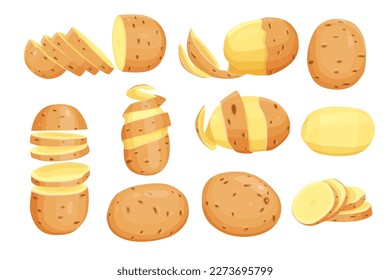 set of Potatoes vector illustration. isolated on white background. Vector eps 10. perfect for wallpaper or design elements	