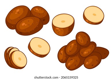 Set of potatoes. Whole potatoes, cut into wedges, half. In a cartoon style. Vector illustration for design and decoration.