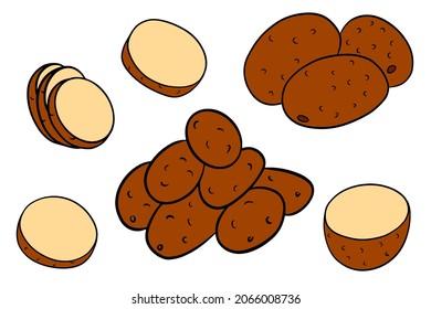 Set of potatoes. Whole potatoes, cut into wedges, half. In a cartoon style. Vector illustration for design and decoration.