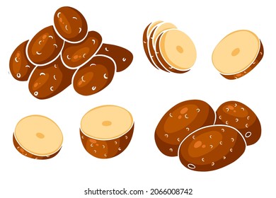 Kartoffelset. Ganze Kartoffeln, in Keile geschnitten, halb. In einem Cartoon-Stil. Vektorgrafik für Design und Dekoration.