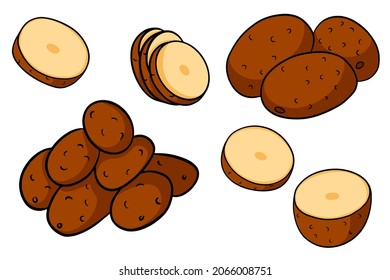 Set of potatoes. Whole potatoes, cut into wedges, half. In a cartoon style. Vector illustration for design and decoration.