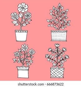 Set of  Pots flower and leaves hand drawn paper cute white on pink background beautiful. Vector Illustration