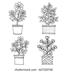Set of  Pots flower and leaves hand drawn beautiful Vector Illustration
