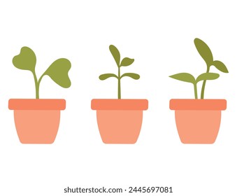 Set of pots with sprouts of different shapes and seedlings. Vector illustration of growing plants. Gardening concept. Plants growing in pots.