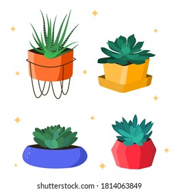 Set of Potted Cactus and Succulents in cartoon style. House Plants in colorful pots isolated on white background. Vector illustration.