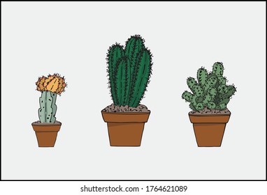 Set of potted cactuses. Different color and shape cactuses. Vector illustration.