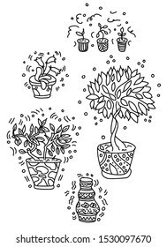 Set of potted flowers are drawn in doodle style. Flowers in pots painted black line on a white background. Decorative potted house plant sketch illustration for print, web, mobile, postcards, cover