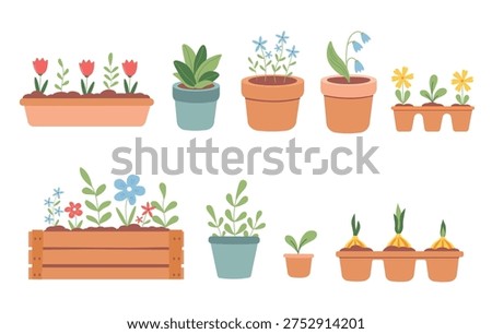 Set of potted flowers and garden plants  – cute flat houseplants, seedlings and flower pots vector collection.