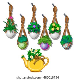 Set potted flowers hanging on the rope isolated on white background. Vector illustration.
