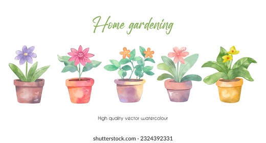 Set of potted flowers. Home gardening. Watercolour botany 