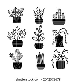 set of potted home plunts