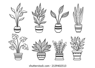 Set of potted house plants on a white background. Isolated potted plants. Monstera and other tropical plants on a white background. Decor with indoor tropical leaves, plants.