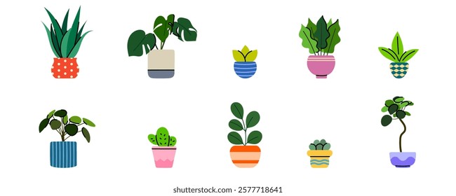 Set of potted houseplants in a modern minimalist flat style, perfect for interior design, eco blogs, and gardening concepts.