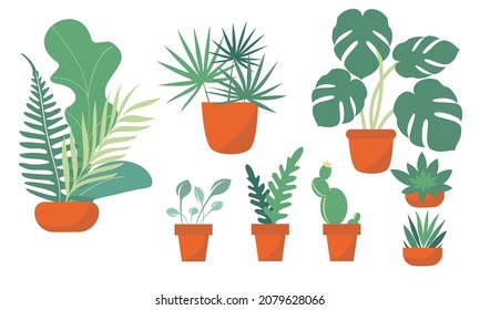 A set of potted houseplants. Simplified flat style isolated on white background