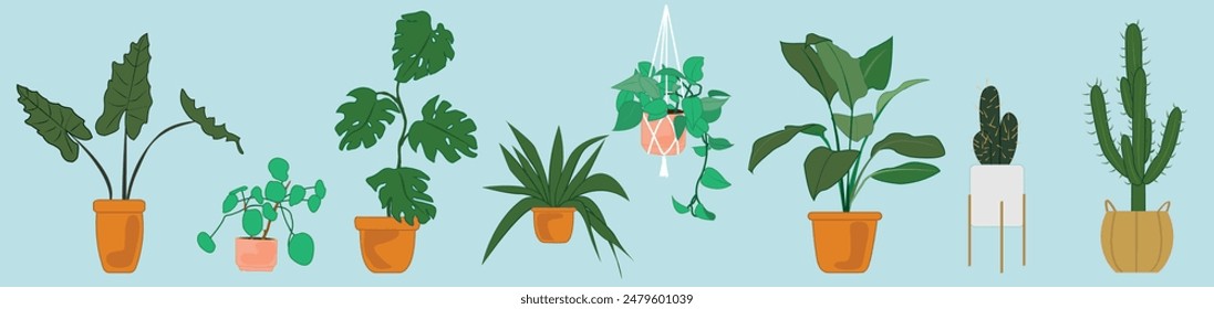 Conjunto de plantas de Vector en macetas dibujo aislado verde decoración botánica