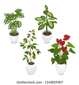 Set of potted indoor, office and house plants. Collection of 3d flower pots with plate. Isometric vector illustration