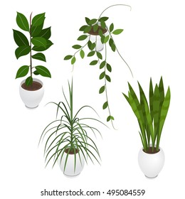 Set of potted indoor, office and house plants. Collection of 3d flower pots with plate. Isometric vector illustration