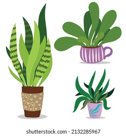 a set of potted indoor plants in a flat style