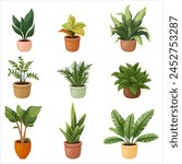 A set of potted indoor plants. Vector illustration on a transparent background