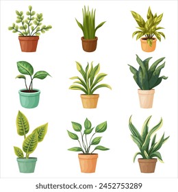 A set of potted indoor plants. Vector illustration on a transparent background