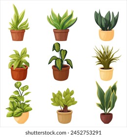 Un conjunto de plantas cubiertas en macetas. Ilustración vectorial sobre fondo transparente