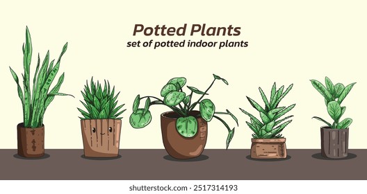 Un conjunto de plantas de interior en maceta. Ilustración vectorial sobre un fondo transparenteConjunto de ilustraciones de plantas decorativas para el hogar. imágenes aisladas en blanco. Planta verde para el hogar, flor floral y planta de casa