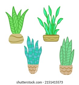 Set of Potted plant. Homemade Green leaves of houseplant. Gardening and botany. Brown pot and House decoration. Flat illustration