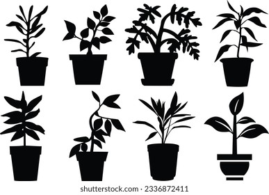 Set of potted plant silhouettes. Set of black and white potted plants. Potted plant vectors isolated.